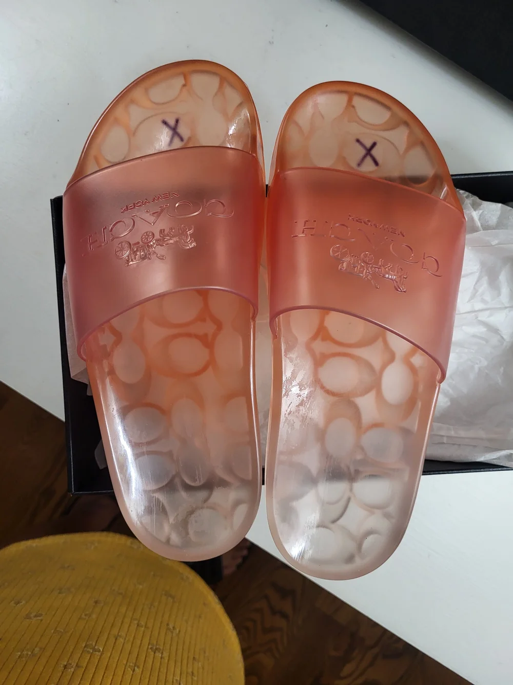 Coach transparent coral